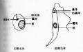 2014年1月18日 (六) 09:07的版本的缩略图