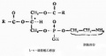 2014年1月18日 (六) 08:00的版本的缩略图