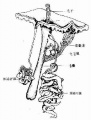 2014年1月18日 (六) 17:40的版本的缩略图