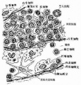2014年1月18日 (六) 08:34的版本的缩略图