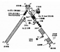2014年1月18日 (六) 08:52的版本的缩略图