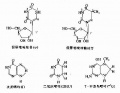 2014年1月18日 (六) 15:17的版本的缩略图