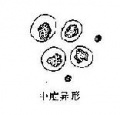 2014年1月18日 (六) 11:16的版本的缩略图