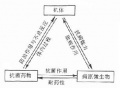 2014年1月18日 (六) 09:31的版本的缩略图