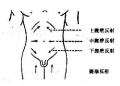 2014年1月18日 (六) 12:22的版本的缩略图