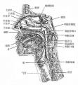 2014年1月18日 (六) 12:36的版本的缩略图