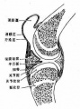 2014年1月18日 (六) 15:17的版本的缩略图