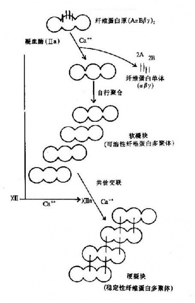 文件:Gra96ofa.jpg