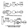 2014年1月18日 (六) 10:25的版本的缩略图