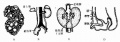 2014年1月18日 (六) 09:11的版本的缩略图