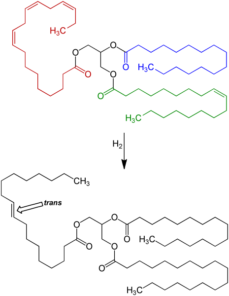文件:Triglyceride Hydrogenation&Isomerization V.1.png