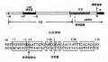 2014年1月18日 (六) 12:26的版本的缩略图