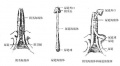 2014年1月18日 (六) 09:43的版本的缩略图