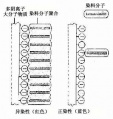 2014年1月18日 (六) 08:50的版本的缩略图