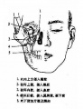 2014年1月18日 (六) 10:09的版本的缩略图