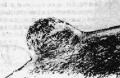 2014年1月18日 (六) 10:36的版本的缩略图