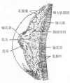 2014年1月18日 (六) 16:08的版本的缩略图