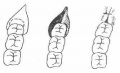 2014年1月18日 (六) 17:12的版本的缩略图