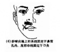 2014年1月18日 (六) 16:59的版本的缩略图