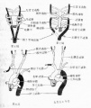 2014年1月18日 (六) 10:53的版本的缩略图