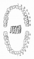 2014年1月18日 (六) 10:40的版本的缩略图