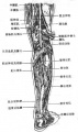 2014年1月18日 (六) 13:06的版本的缩略图