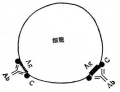 2014年1月18日 (六) 08:31的版本的缩略图
