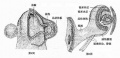 2014年1月18日 (六) 16:52的版本的缩略图