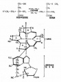 2014年1月17日 (五) 05:37的版本的缩略图