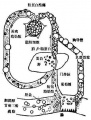 2014年1月18日 (六) 10:10的版本的缩略图