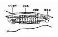2014年1月18日 (六) 11:11的版本的缩略图