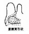 2014年1月18日 (六) 12:34的版本的缩略图