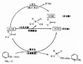 2014年1月18日 (六) 15:15的版本的缩略图