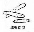 2014年1月18日 (六) 17:11的版本的缩略图