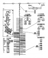 2014年1月18日 (六) 12:21的版本的缩略图