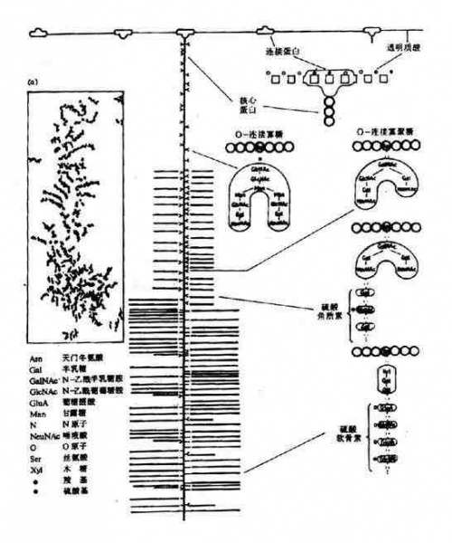 文件:Graaunhn.jpg