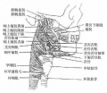 2014年1月18日 (六) 12:13的版本的缩略图