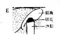 2014年1月18日 (六) 09:19的版本的缩略图