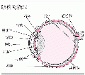 2014年1月18日 (六) 18:17的版本的缩略图