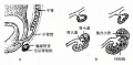 2014年1月18日 (六) 12:22的版本的缩略图