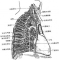 2014年1月18日 (六) 10:19的版本的缩略图