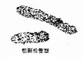 2014年1月18日 (六) 11:07的版本的缩略图