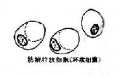 2014年1月18日 (六) 09:19的版本的缩略图