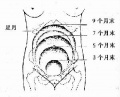 2014年1月18日 (六) 15:03的版本的缩略图
