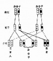 2014年1月18日 (六) 07:59的版本的缩略图