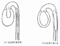 2014年1月18日 (六) 16:23的版本的缩略图