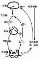 2014年1月18日 (六) 11:59的版本的缩略图