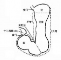 2014年1月18日 (六) 12:55的版本的缩略图