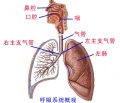 2014年1月18日 (六) 12:58的版本的缩略图