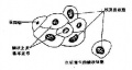 2014年1月18日 (六) 17:01的版本的缩略图